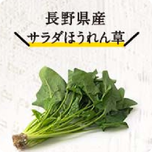 長野県産サラダほうれん草